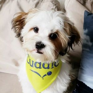 Meet your Posher, Lesley